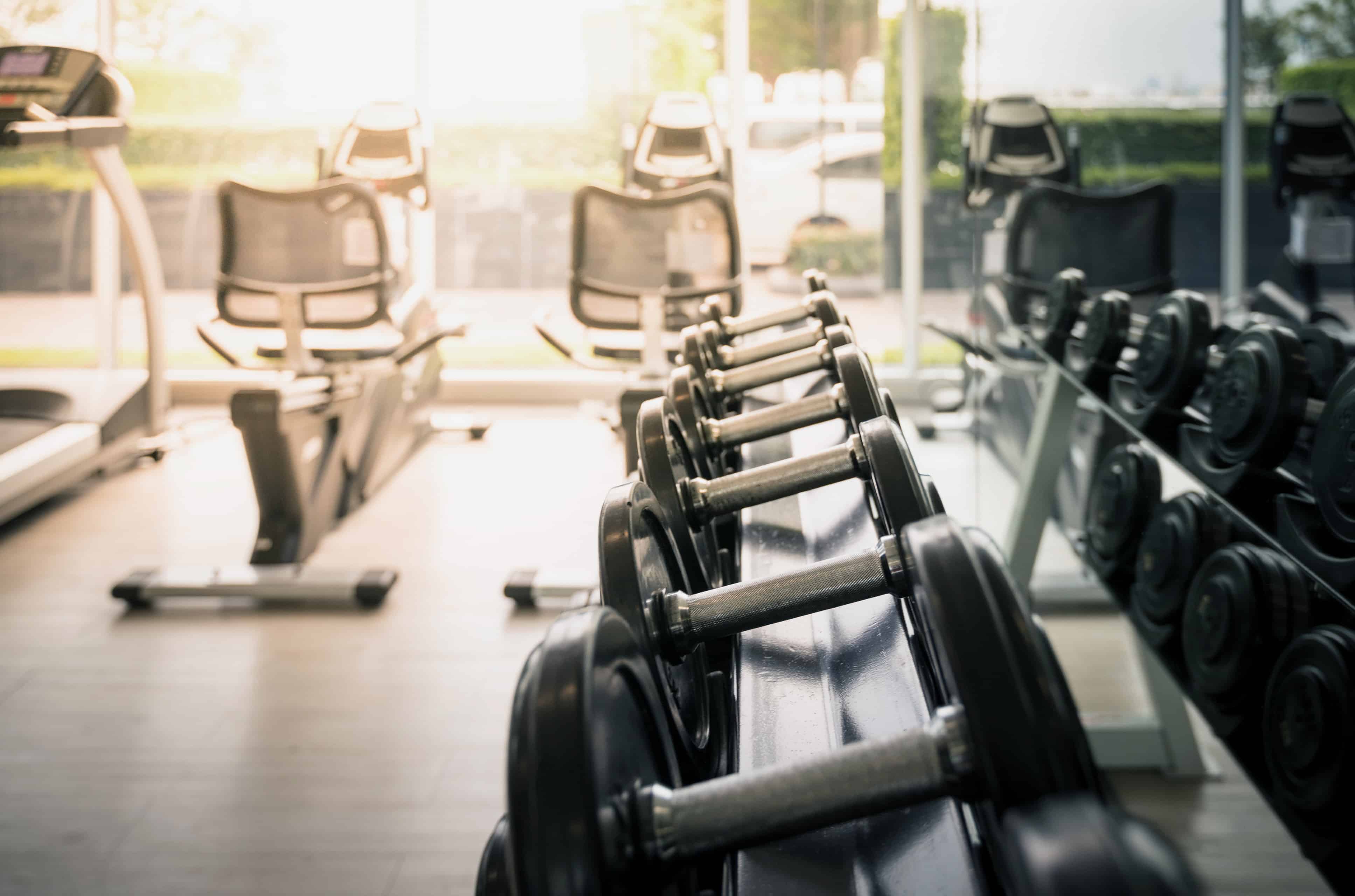 shutterstock_1129255583